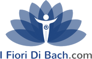 Corsi Fiori Di Bach